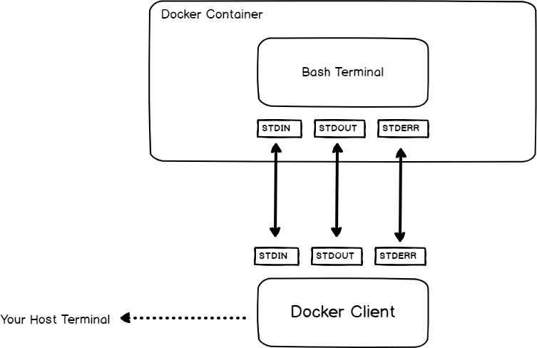 docker exec it option