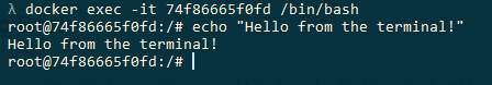 docker exec bash